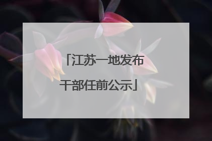 江苏一地发布干部任前公示