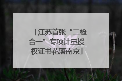 江苏首张“二检合一”专项计量授权证书花落南京