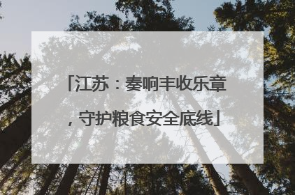 江苏：奏响丰收乐章，守护粮食安全底线