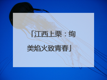 江西上栗：绚美焰火致青春