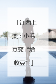 江西上栗：小毛豆变“增收豆”