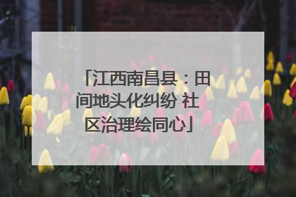 江西南昌县：田间地头化纠纷 社区治理绘同心
