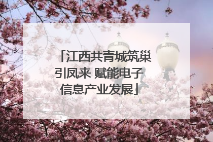 江西共青城筑巢引凤来 赋能电子信息产业发展