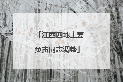 江西四地主要负责同志调整