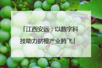 江西安远：以数字科技助力脐橙产业腾飞