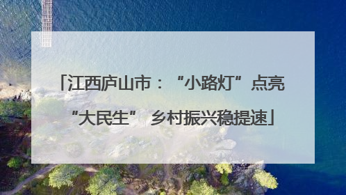 江西庐山市：“小路灯”点亮“大民生” 乡村振兴稳提速