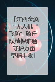 江西金溪：无人机“飞防”破丘陵植保难题 守护万亩早稻丰收