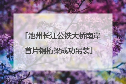 池州长江公铁大桥南岸首片钢桁梁成功吊装