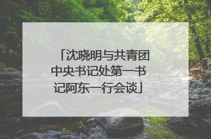 沈晓明与共青团中央书记处第一书记阿东一行会谈