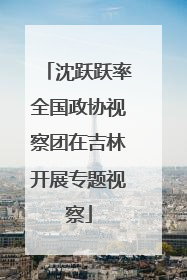 沈跃跃率全国政协视察团在吉林开展专题视察