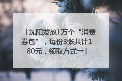 沈阳发放1万个“消费券包”，每份3张共计180元，领取方式→