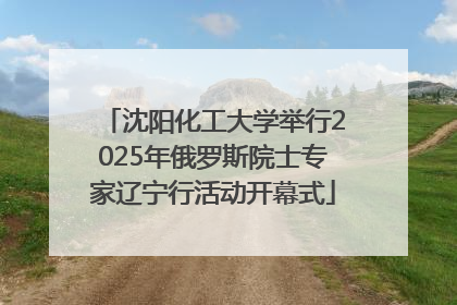 沈阳化工大学举行2025年俄罗斯院士专家辽宁行活动开幕式