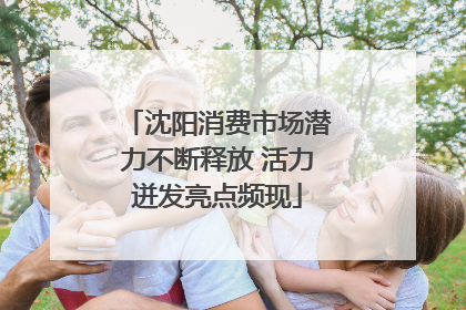 沈阳消费市场潜力不断释放 活力迸发亮点频现