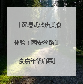 沉浸式盛唐美食体验！西安丝路美食嘉年华启幕