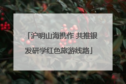 沪明山海携作 共推银发研学红色旅游线路