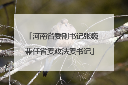 河南省委副书记张巍兼任省委政法委书记