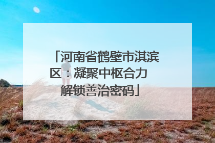 河南省鹤壁市淇滨区：凝聚中枢合力 解锁善治密码