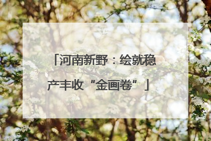 河南新野：绘就稳产丰收“金画卷”