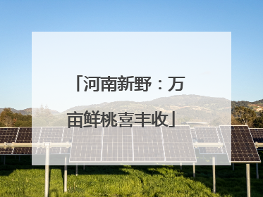 河南新野：万亩鲜桃喜丰收