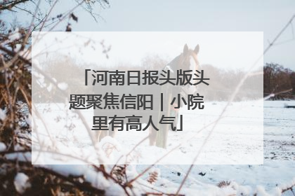 河南日报头版头题聚焦信阳｜小院里有高人气