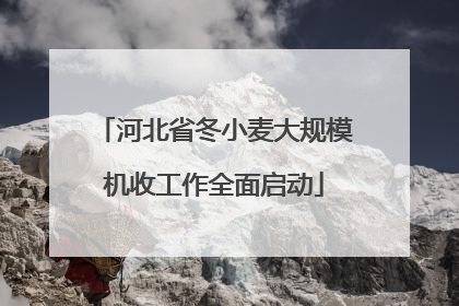 河北省冬小麦大规模机收工作全面启动