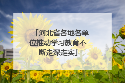 河北省各地各单位推动学习教育不断走深走实