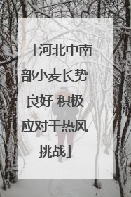 河北中南部小麦长势良好 积极应对干热风挑战