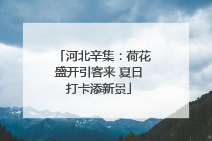河北辛集：荷花盛开引客来 夏日打卡添新景