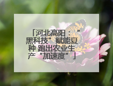 河北高阳：“黑科技”赋能夏种 跑出农业生产“加速度”