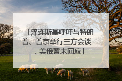 泽连斯基呼吁与特朗普、普京举行三方会谈，美俄暂未回应