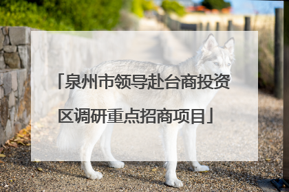 泉州市领导赴台商投资区调研重点招商项目