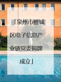 泉州市鲤城区电子信息产业链党委揭牌成立