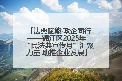 法典赋能·政企同行——锦江区2025年“民法典宣传月”汇聚力量 助推企业发展