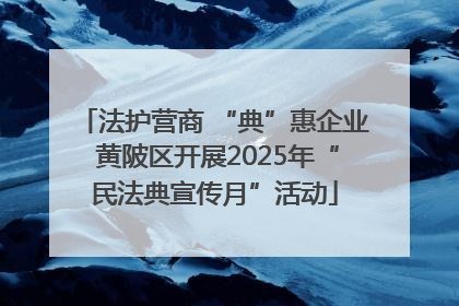 法护营商 “典”惠企业 黄陂区开展2025年“民法典宣传月”活动