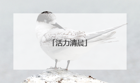 活力清晨