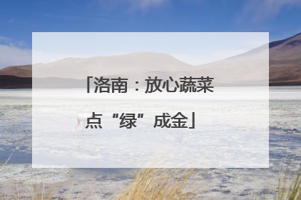 洛南：放心蔬菜点“绿”成金