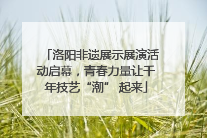 洛阳非遗展示展演活动启幕，青春力量让千年技艺“潮” 起来