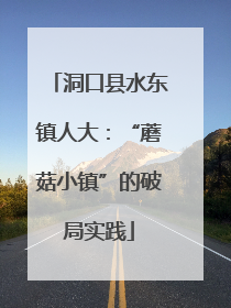 洞口县水东镇人大：“蘑菇小镇”的破局实践