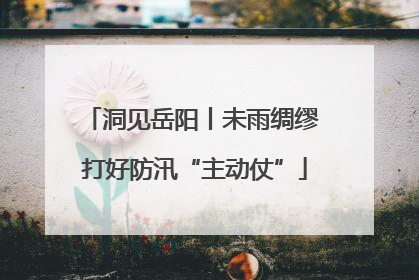 洞见岳阳丨未雨绸缪 打好防汛“主动仗”