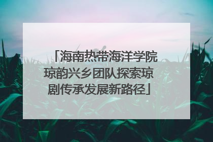 海南热带海洋学院琼韵兴乡团队探索琼剧传承发展新路径
