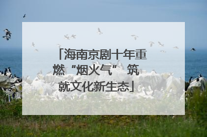 海南京剧十年重燃“烟火气” 筑就文化新生态
