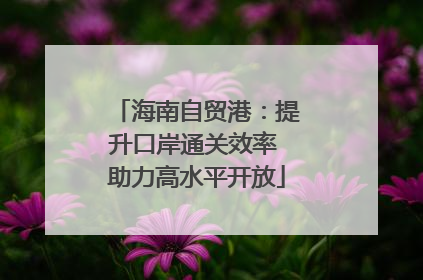 海南自贸港：提升口岸通关效率 助力高水平开放