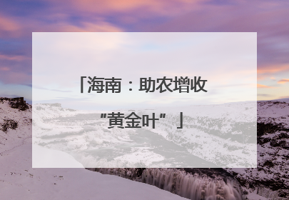 海南：助农增收 “黄金叶”