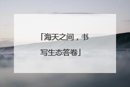 海天之间，书写生态答卷