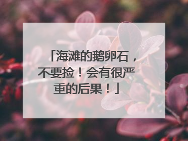 海滩的鹅卵石，不要捡！会有很严重的后果！