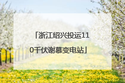 浙江绍兴投运110千伏谢慕变电站