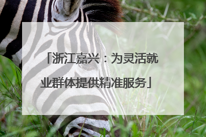 浙江嘉兴：为灵活就业群体提供精准服务