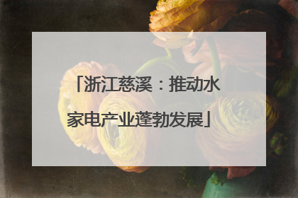 浙江慈溪：推动水家电产业蓬勃发展