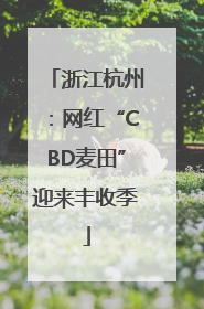 浙江杭州：网红“CBD麦田”迎来丰收季