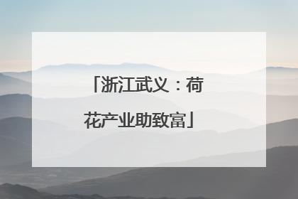 浙江武义：荷花产业助致富